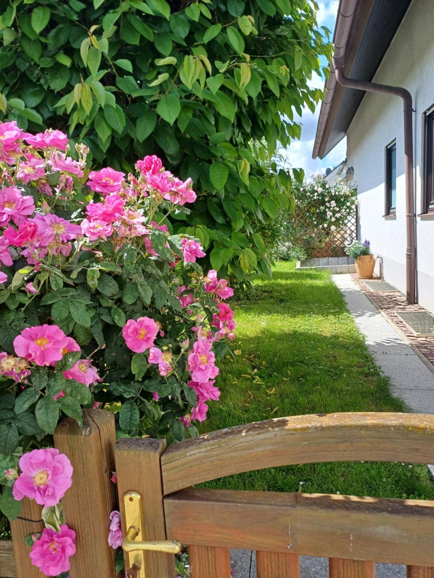 Apartamento Unter Dem Sonnberg Auggen