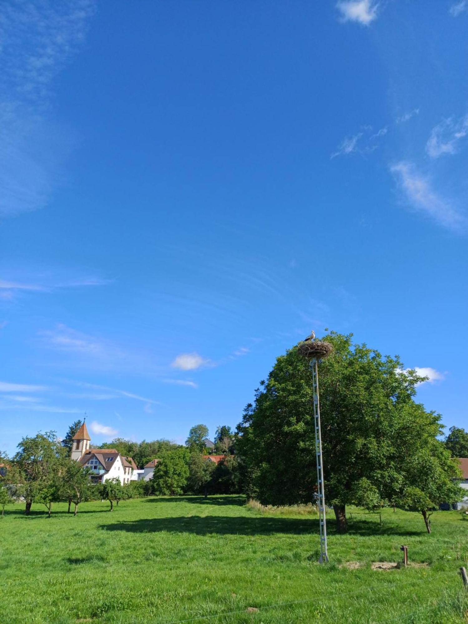 Apartamento Unter Dem Sonnberg *